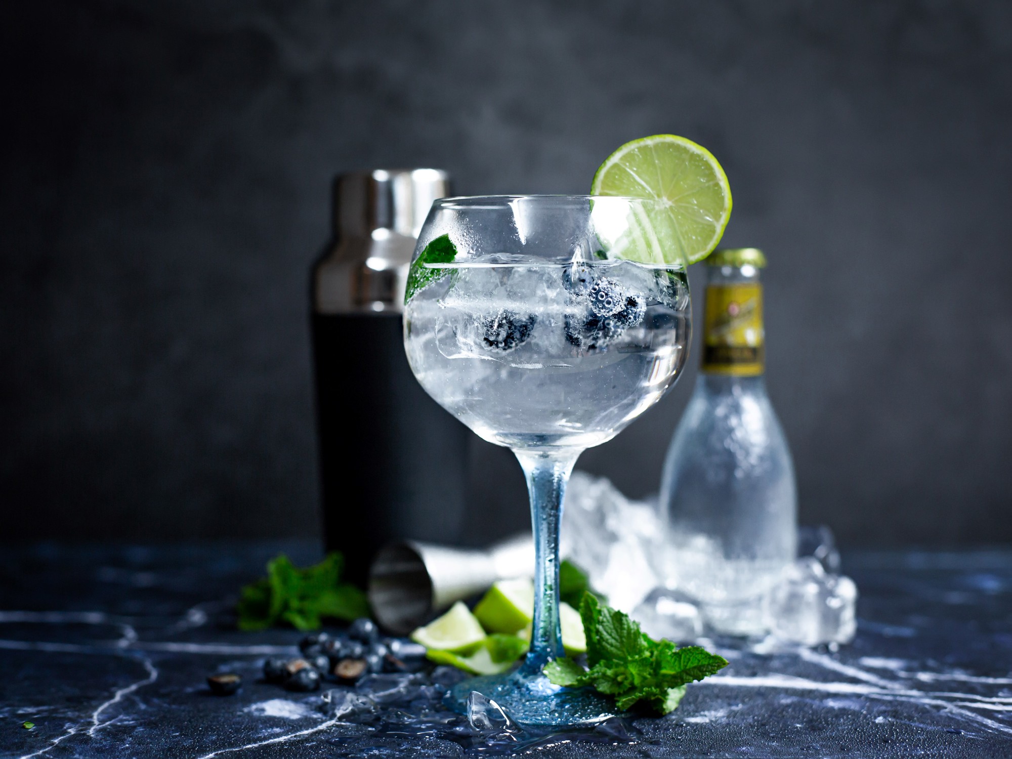 Gin Canaima