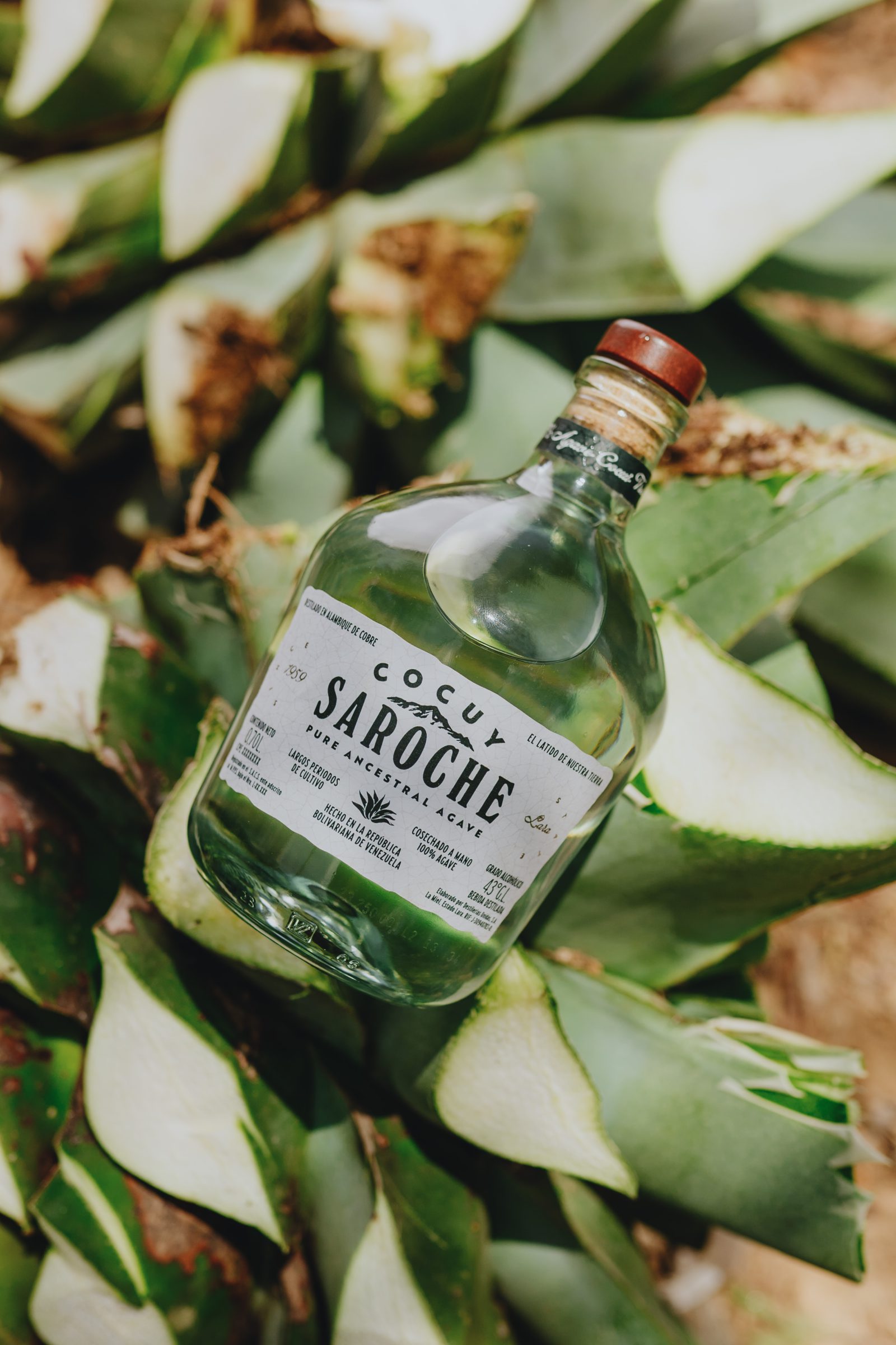 Gin Mini Saroche